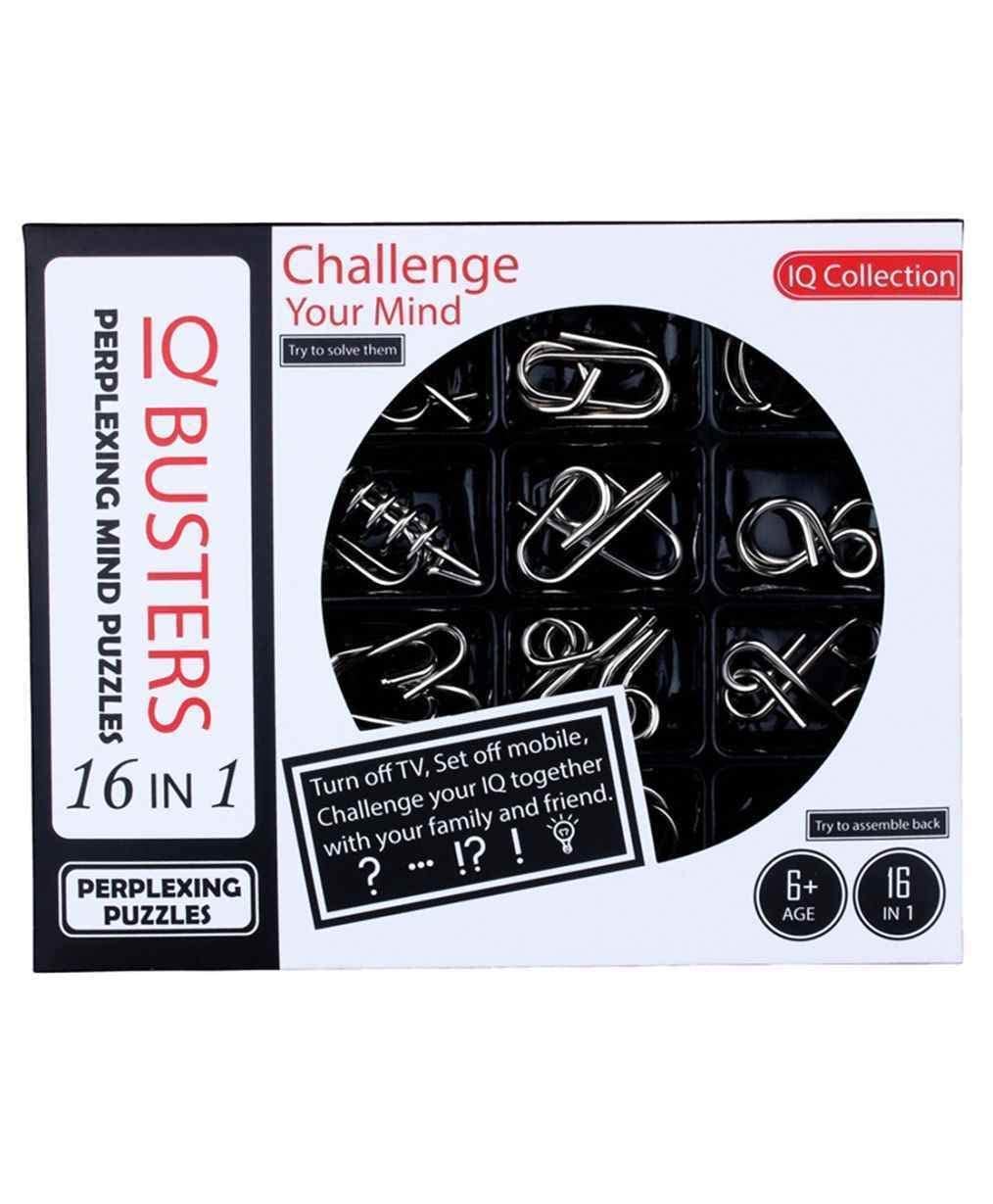 Brain Twist Metal Puzzle IQ Test