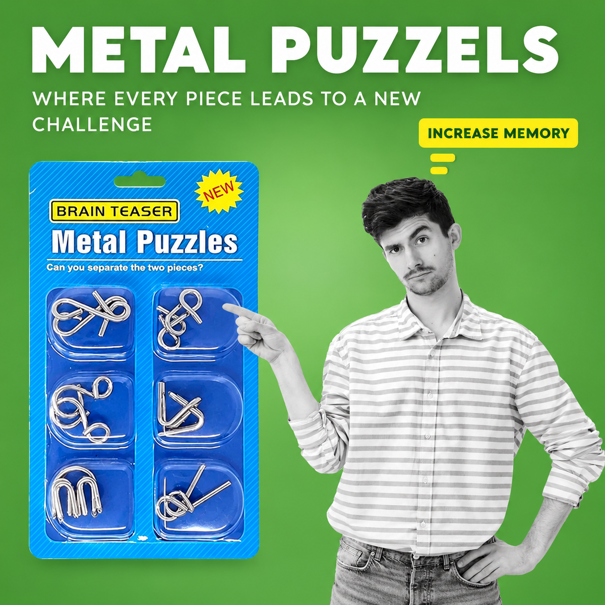 Brain Twist Metal Puzzle IQ Test