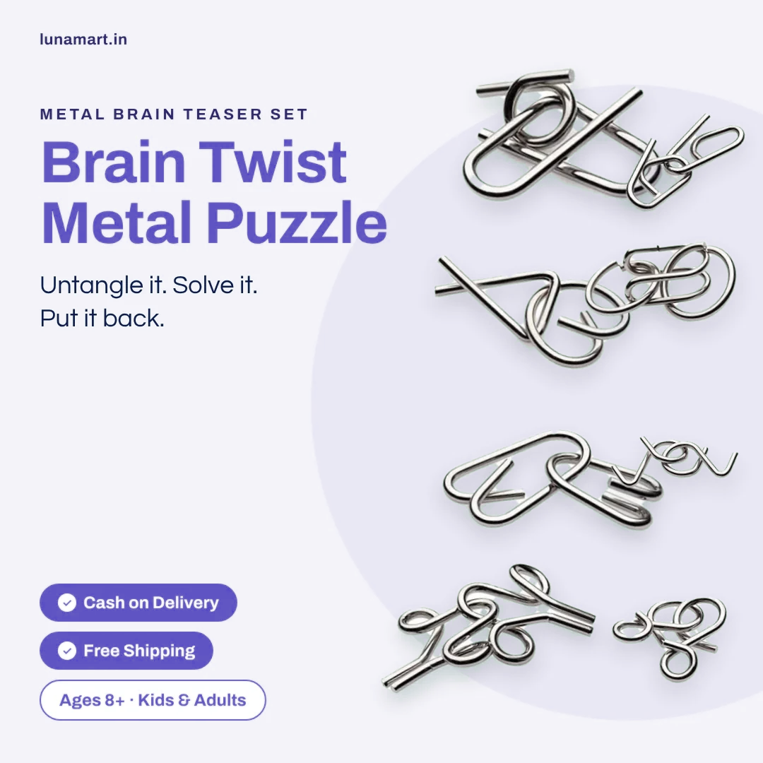 Brain Twist Metal Puzzle IQ Test