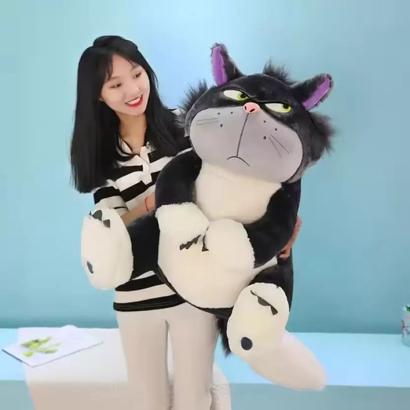 Cat Teddy Toy: Soft, Adorable, and Versatile! 🐾